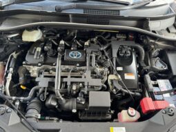 
										Toyota C-HR 2016/12 full									