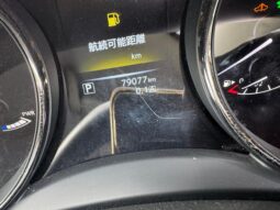 
										Nissan X-Trail Hybrid full									